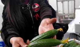 娱乐吃瓜酱重庆山东,揭秘重庆与山东的美食文化碰撞