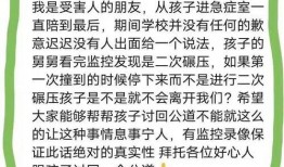 武汉最新爆料小学生事件,校园暴力悲剧引发社会关注