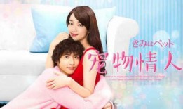 宠物情人在线观看免费,甜蜜邂逅，萌宠相伴的浪漫奇遇